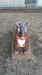 近くにはドラッ...