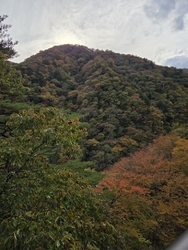 龍王峡の遊歩道...