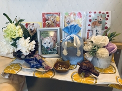 12年前に母が...