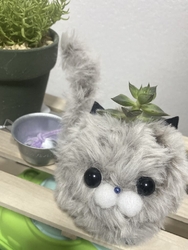 気になっていた...