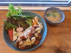 新しく発酵食品...