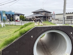 たまたま近くで...