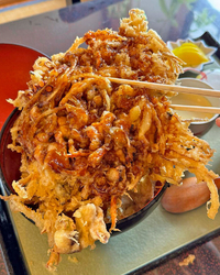 腹ペコで挑んだ...