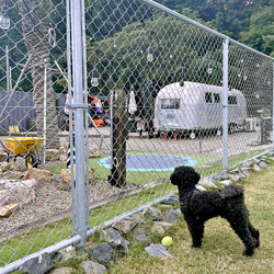 地元では噂にな...