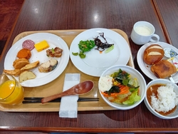 所用があり、足...