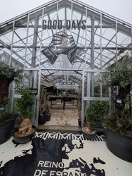 おしゃれな植物...