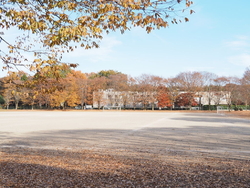 ゆいの杜方面へ...