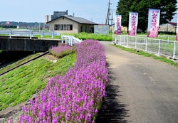 大田原の川べり...