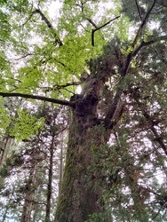 旧社格で村社の...