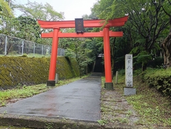 八幡山公園の散...