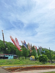 爽やかな5月ら...