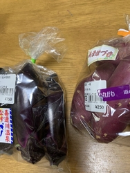 本日は、朝イチ...