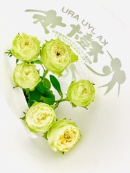 久しぶりにスプ...
