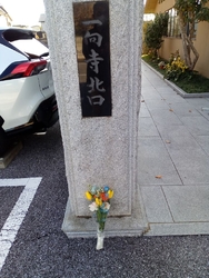 今回も両親のお...