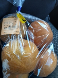 今日は、9月2...