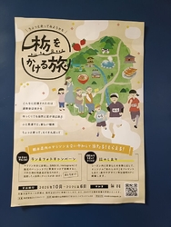 栃木県内のマラ...