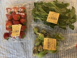 鬼怒川からの帰...