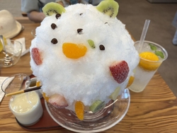 暑いので「しろ...