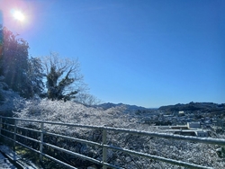 今日は、1月3...