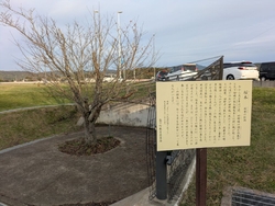 陶器市に行って...