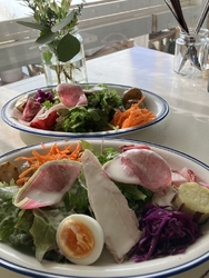 友だちに連れら...