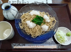 今日は天気が良...