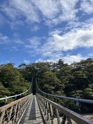 足湯目当てに来...