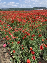 那珂川町谷田地...