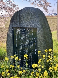 口コミを見て気...