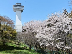 温泉に入ったあ...