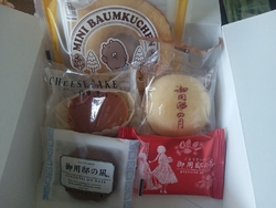 那須ファンポイ...