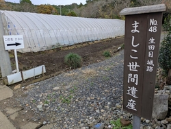 陶器市に行って...