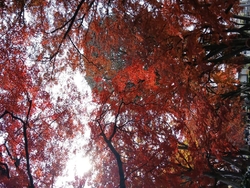 塩原温泉に行く...