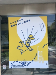 ハッチポッチ藤...