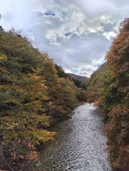 昼食後にせっか...