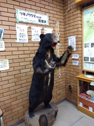 華厳の滝に来た...