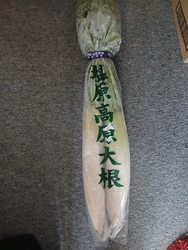 温泉に泊まり、...