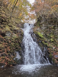 日塩もみじライ...