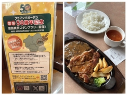 ハンバーグとチ...