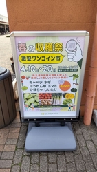 新鮮な野菜が買...