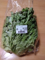 東側の入口付近...