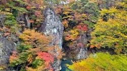 閉館時にも駐車...