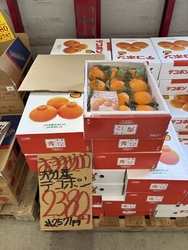 久しぶりに訪問...