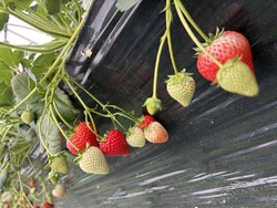 今年もこちらへ...