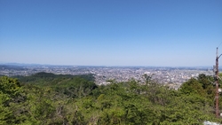 名物セット(焼...