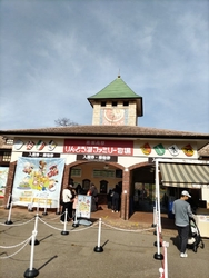 「牧場物語とコ...