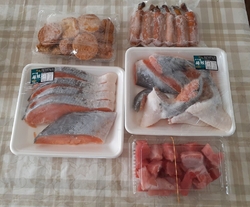 恒例の宇都宮市...