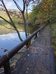 湯ノ湖に到着致...