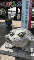 お弁当を作り、...