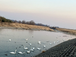 この日は、夕方...